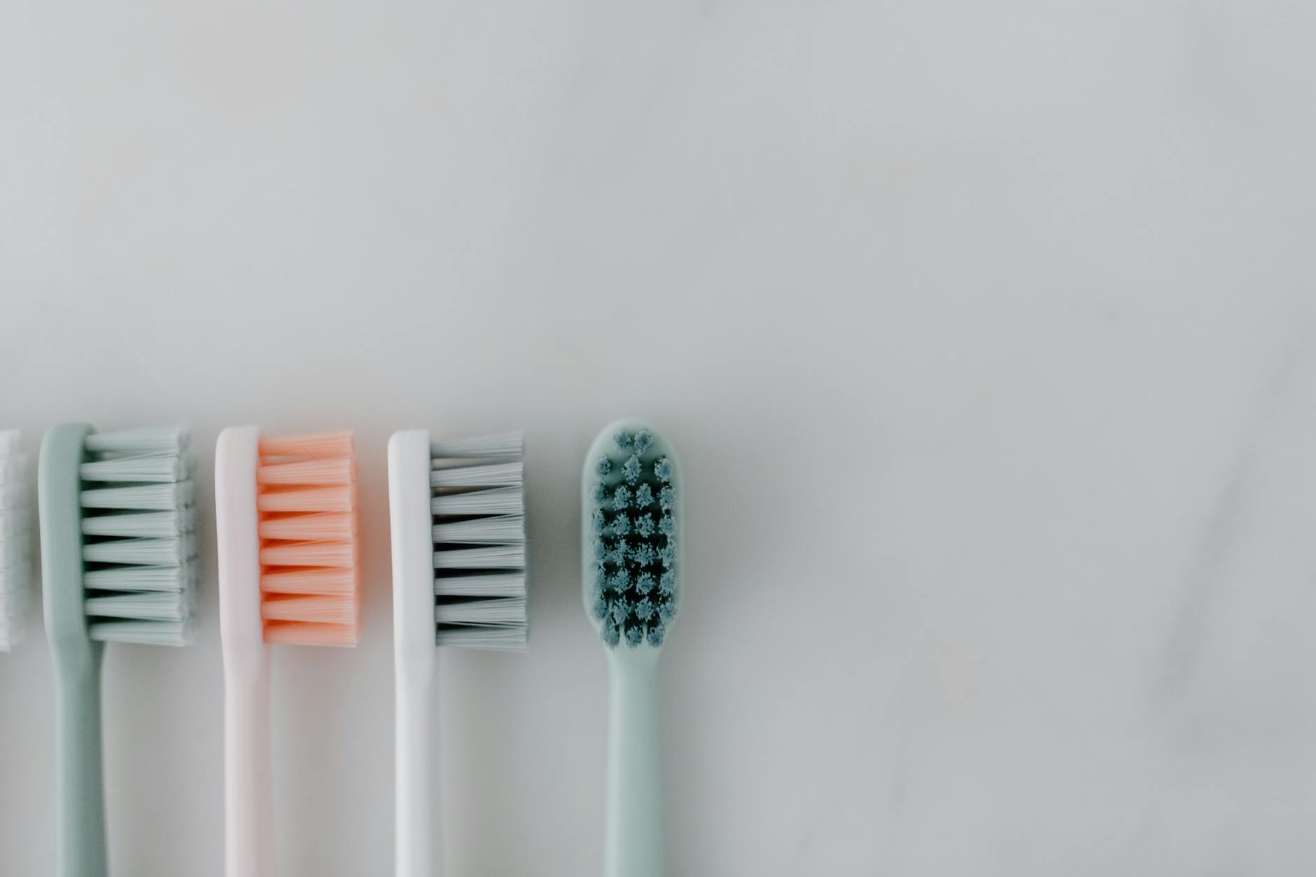 close up shot of toothbrushes